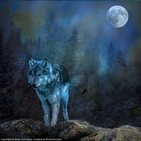 Buy canvas prints of Lone wolf moon by Brian Tarr