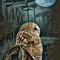 Buy canvas prints of Tawny owl moon by Brian Tarr