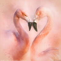 Buy canvas prints of Love is a Flamingo heart by Brian Tarr