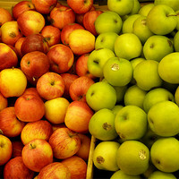 Buy canvas prints of Apples for Sale by Edward Denyer