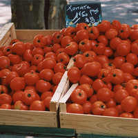 Buy canvas prints of Tomatoes for Sale by Edward Denyer