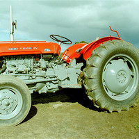 Buy canvas prints of Massey-Ferguson 35 Tractor by Edward Denyer