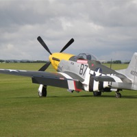 Buy canvas prints of North American Mustang P-51D by Edward Denyer