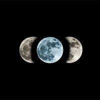 Buy canvas prints of Blue moon phases by Robert clarke
