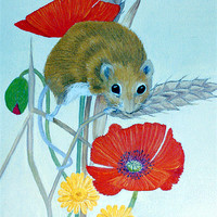 Buy canvas prints of Harvest Mouse by Olive Denyer