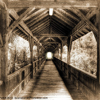 Buy canvas prints of Wooden Bridge by Robert Pettitt