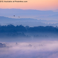 Buy canvas prints of Foggy Sunrise by Robert Pettitt