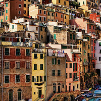 Buy canvas prints of Houses of Riomaggiore by Robert Pettitt