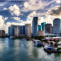 Buy canvas prints of Miami Skyscrapers by Robert Pettitt