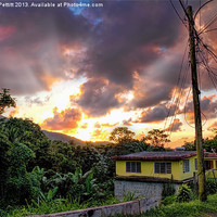 Buy canvas prints of Sunset at the Rain Forest by Robert Pettitt