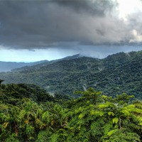 Buy canvas prints of El Yunque Rain Forest by Robert Pettitt