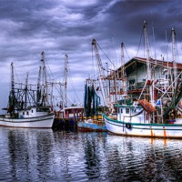 Buy canvas prints of Fishermen Wharf by Robert Pettitt
