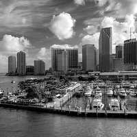 Buy canvas prints of Miami Skyscrapers by Robert Pettitt