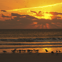 Buy canvas prints of Sunrise at the Beach by Robert Pettitt