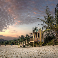 Buy canvas prints of Tropical Sunset by Robert Pettitt