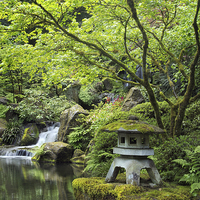 Buy canvas prints of Japanese Garden by Robert Pettitt