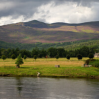 Buy canvas prints of Struy, Strathglass by Macrae Images