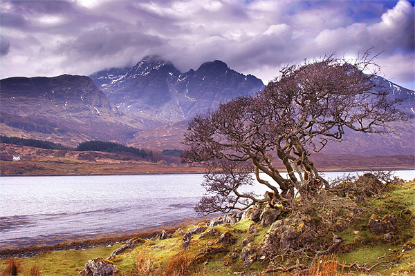 The Cuillins, Skye Picture Board by Macrae Images