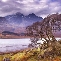Buy canvas prints of The Cuillins, Skye by Macrae Images