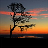 Buy canvas prints of Sunrise silhouette by Macrae Images
