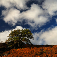 Buy canvas prints of Autumn skyline by Macrae Images