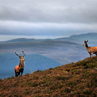 Buy canvas prints of Above the Glens by Macrae Images