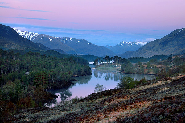  Glen Affric Picture Board by Macrae Images