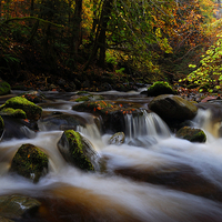 Buy canvas prints of  Autumn at Reelig Glen by Macrae Images