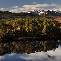 Buy canvas prints of  Glen Affric by Macrae Images