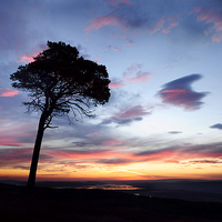 Buy canvas prints of  Beauly Firth Sunrise by Macrae Images