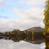 Buy canvas prints of  Autumn In Glen Affric by Macrae Images