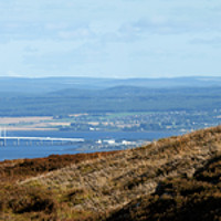 Buy canvas prints of Red Deer Overlooking the Beauly Firth  by Macrae Images