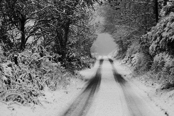 Winter Road Picture Board by Macrae Images