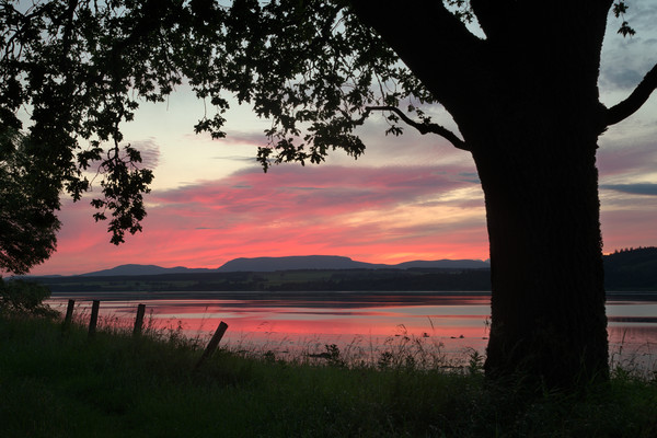 Beauly Firth Sunset Picture Board by Macrae Images