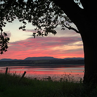 Buy canvas prints of Beauly Firth Sunset by Macrae Images