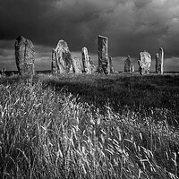 Buy canvas prints of Callanish  by Macrae Images