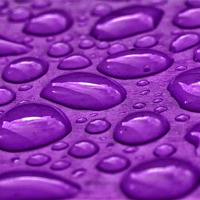 Buy canvas prints of Purple Rain by andrew hall
