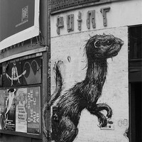 Buy canvas prints of Shoreditch Street Rat by Adrian Wilkins
