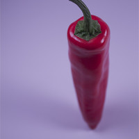 Buy canvas prints of A Single Chilli by Adrian Wilkins