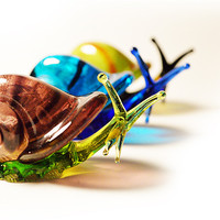 Buy canvas prints of Glass Snails by Adrian Wilkins