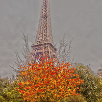 Buy canvas prints of  Eiffel Tower, Paris by Graeme Raffan