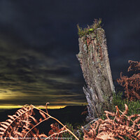 Buy canvas prints of Stumped by night by Fraser Hetherington
