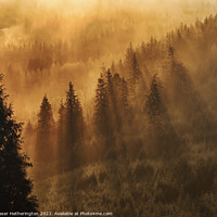Buy canvas prints of Morning Mist by Fraser Hetherington