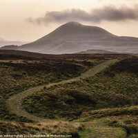 Buy canvas prints of Winding path to East Lomond Hill by Fraser Hetherington