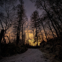 Buy canvas prints of Winter Sunset Path by Fraser Hetherington