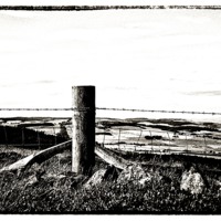 Buy canvas prints of Fenced and Barbed by Fraser Hetherington