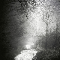Buy canvas prints of Frosty Foggy Path by Fraser Hetherington
