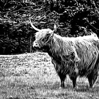 Buy canvas prints of Highland Cow Carved by Fraser Hetherington