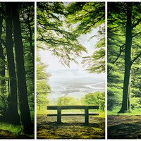 Buy canvas prints of The Bench by Fraser Hetherington