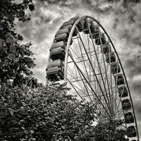 Buy canvas prints of Wheely Quite Big by Fraser Hetherington